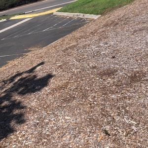 Meet your Posher, Colton